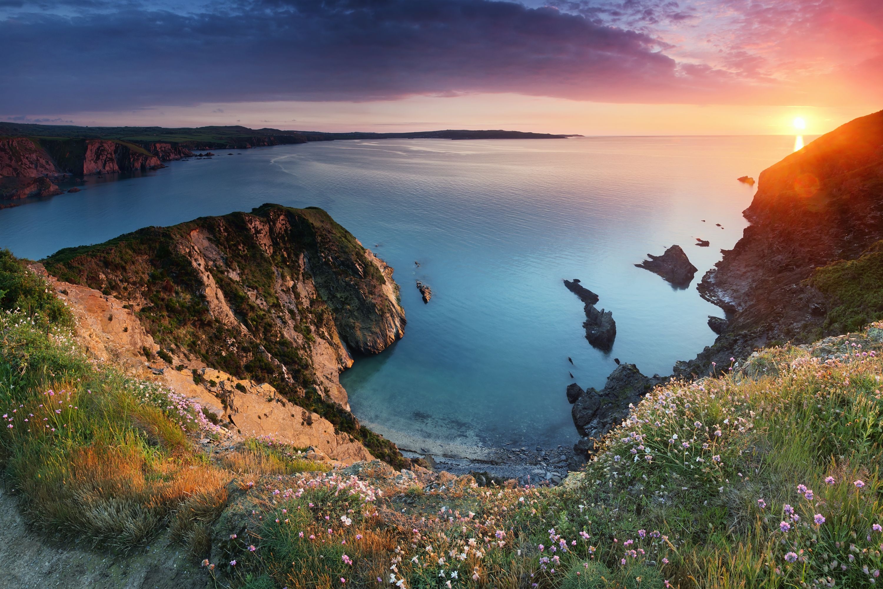 Archaeology and Wildlife of the Pembrokeshire Coast