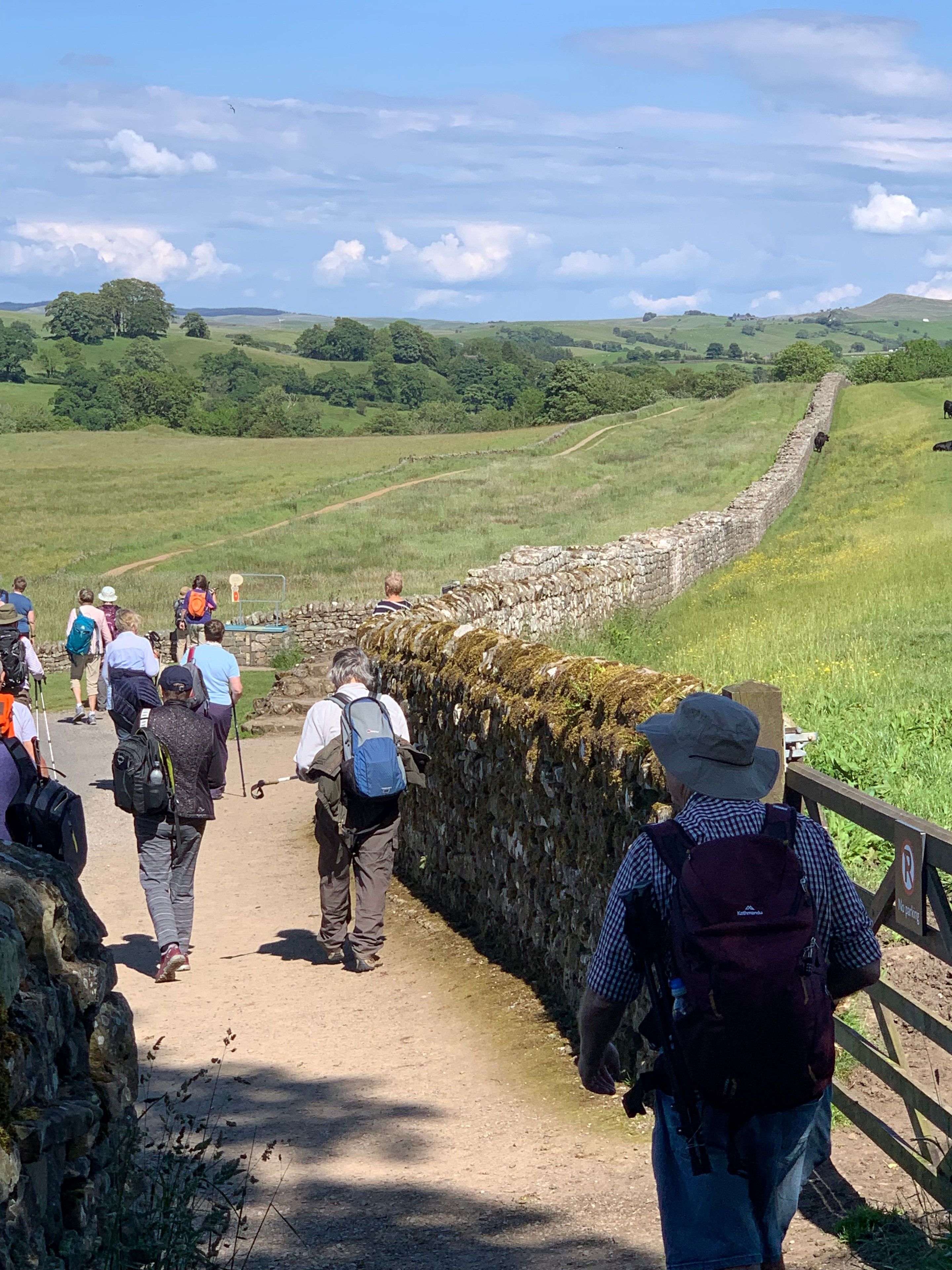 hadrian's wall guided walking tours